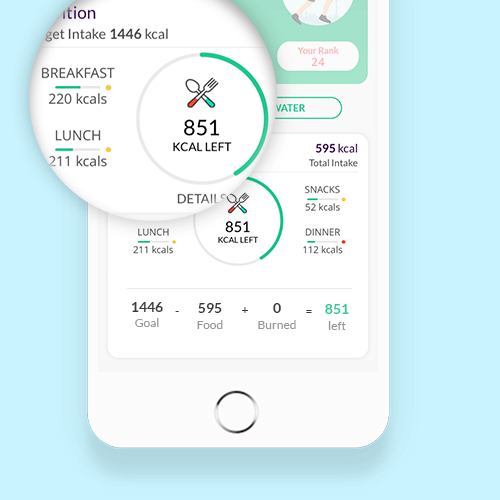 Employee Wellness Program Calorie Tracker