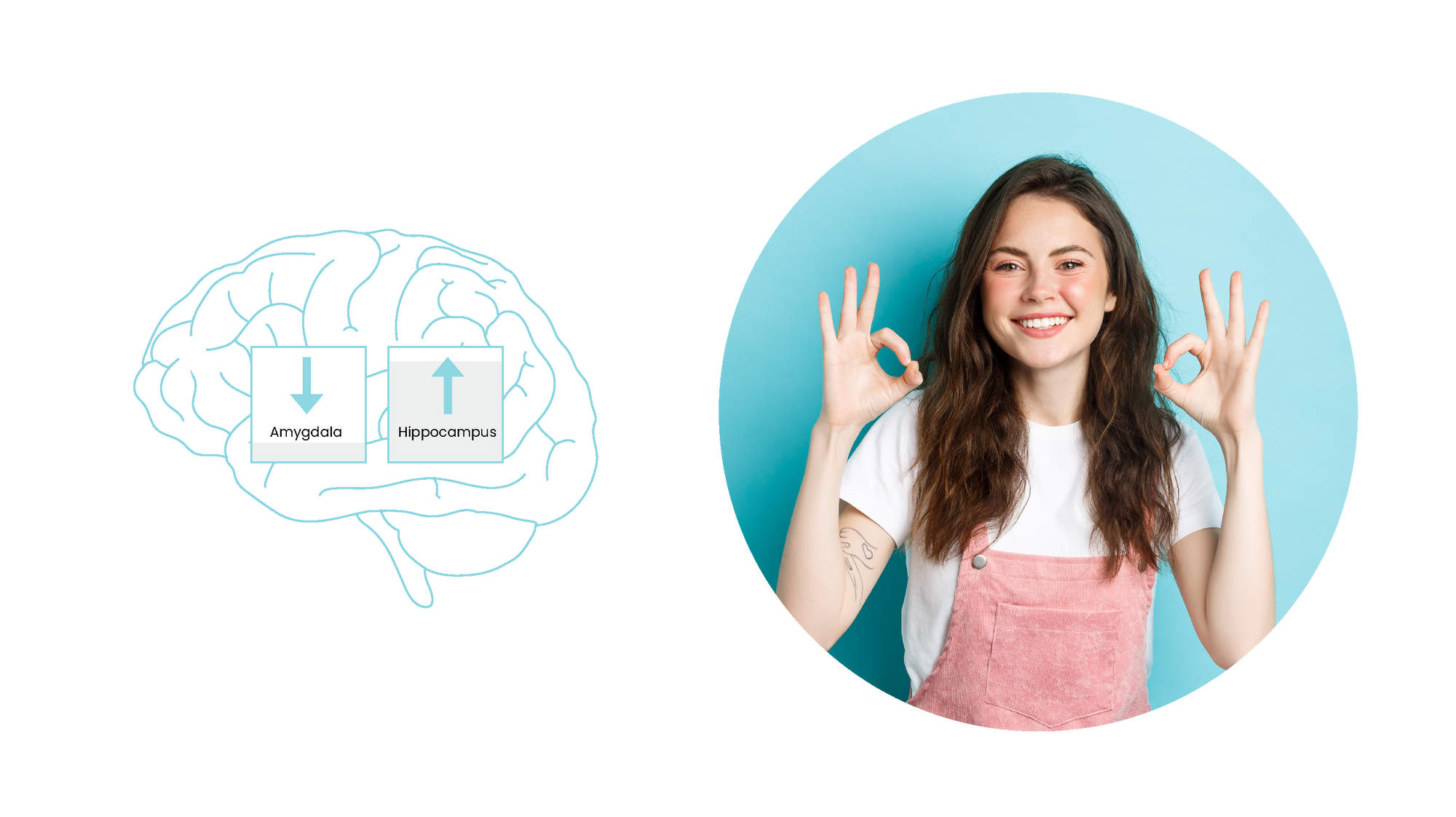 Practicing Mindfulness results in Increased Gray Matter in Hippocampus and Decreased Gray Matter in Amygdala
