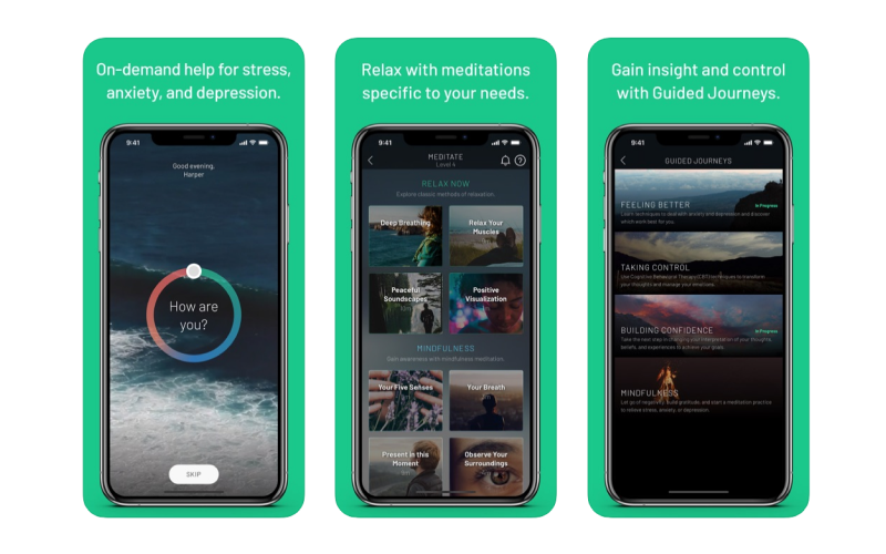 Sanvello App Interface