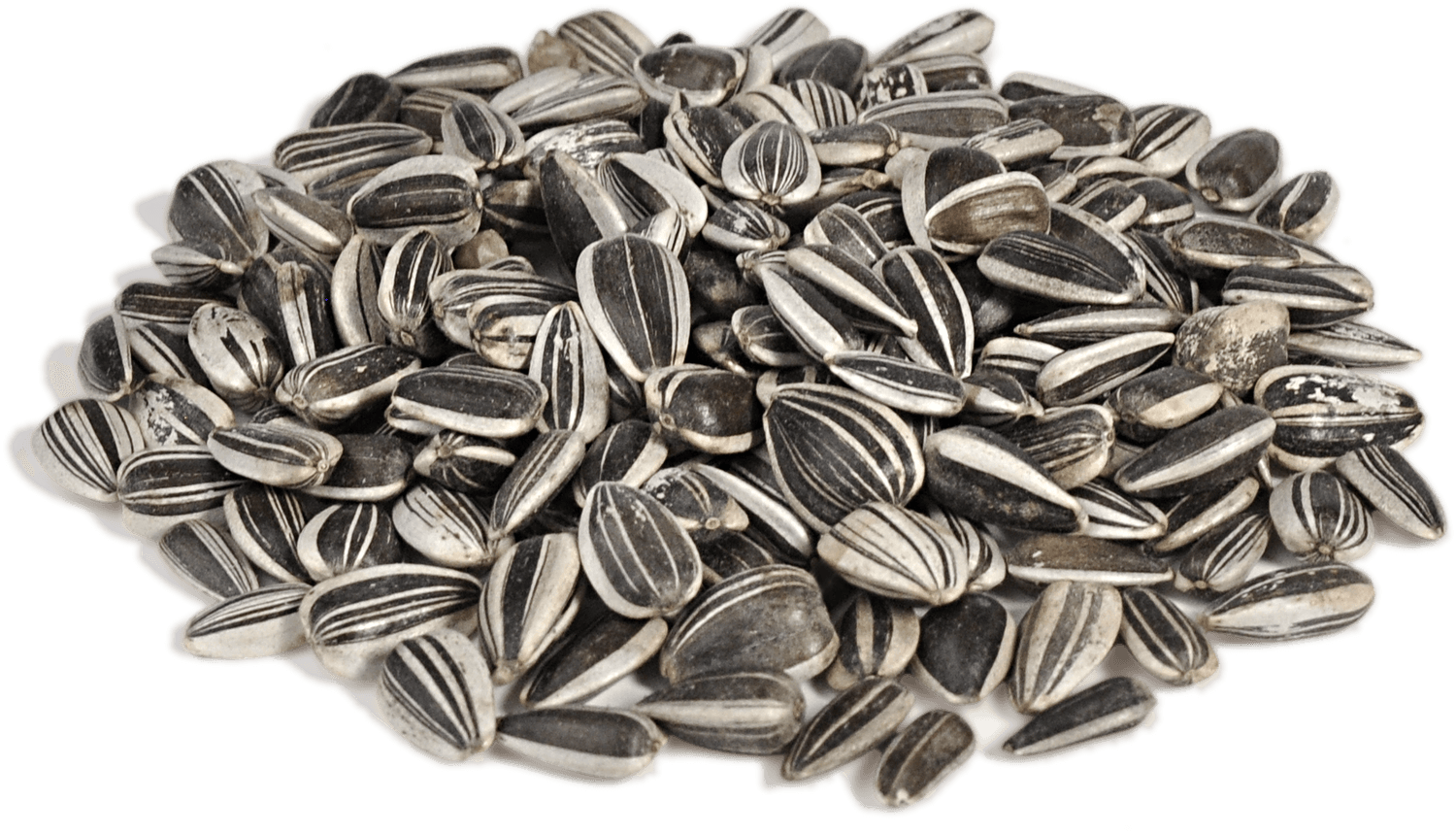 sunflower-seeds