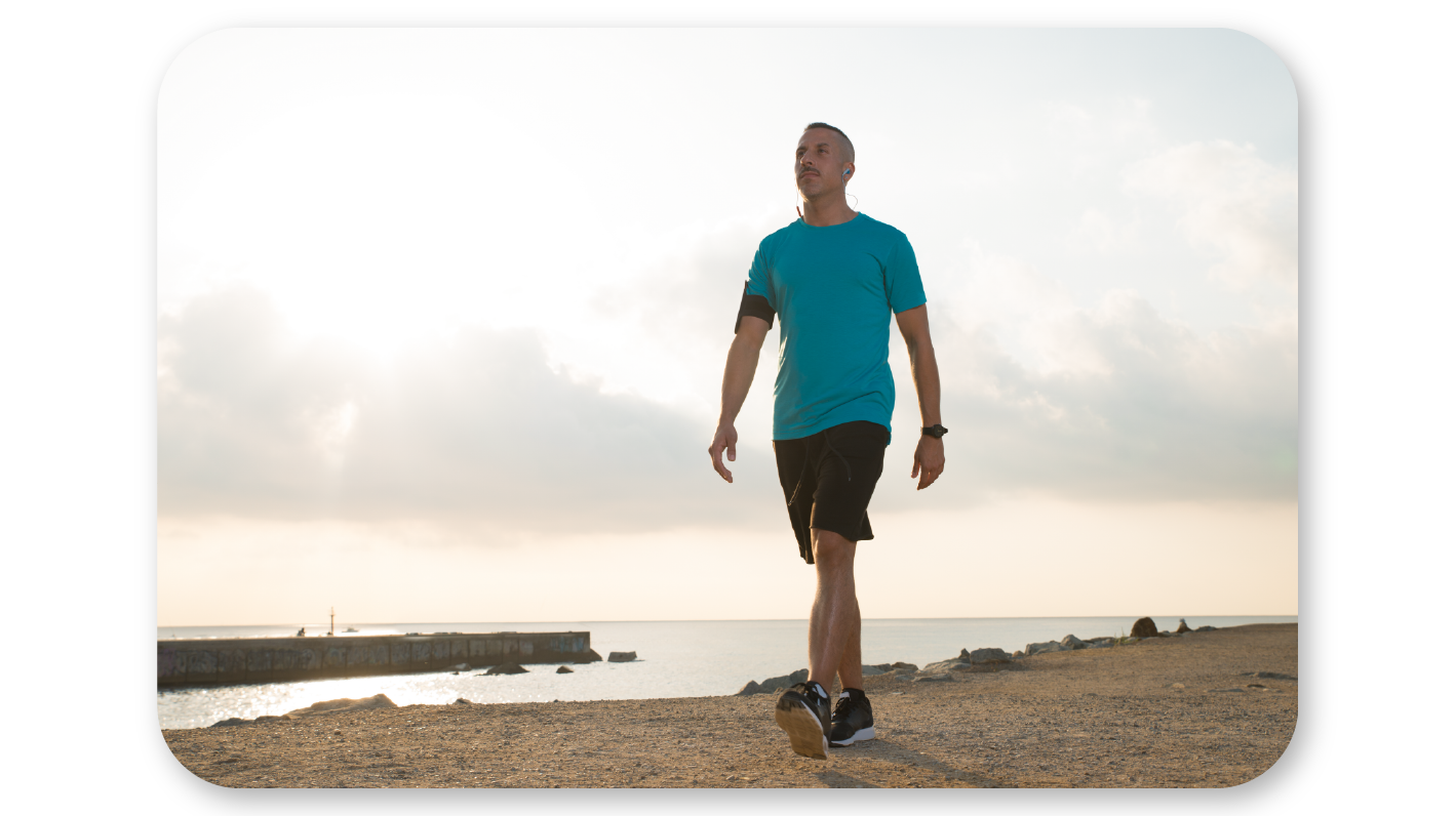 VFit_--1-