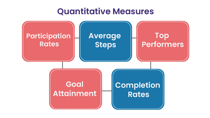 VFit__Mesures-Quantitatives